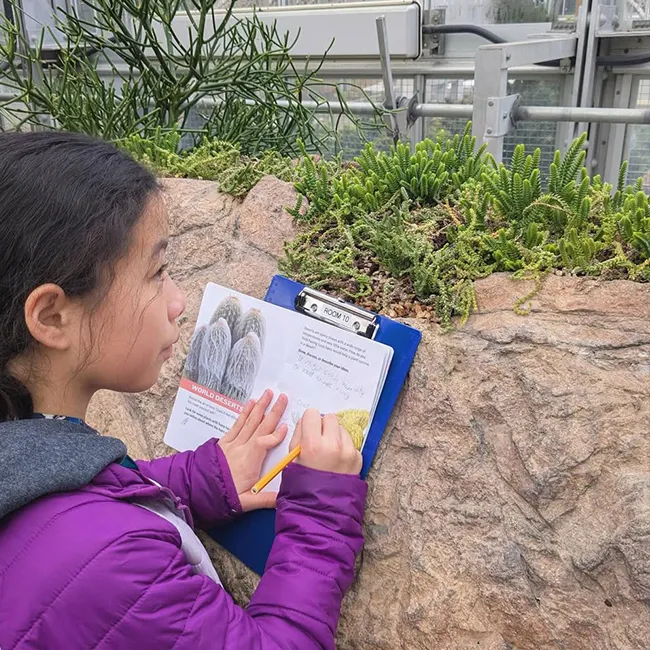 Middle school students on a fieldwork excursion